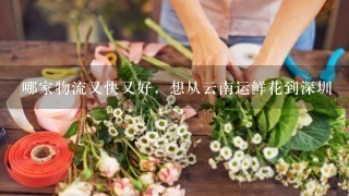 哪家物流又快又好，想从云南运鲜花到深圳