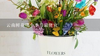 云南鲜花哪个季节最便宜