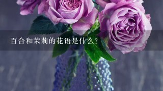 百合和茉莉的花语是什么?