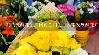 与传统鲜花生产国荷兰相比，云南发展鲜花产业最大的优势是( )