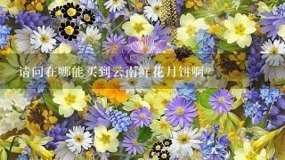 请问在哪能买到云南鲜花月饼啊?