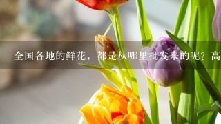 全国各地的鲜花，都是从哪里批发来的呢？高档花卉，