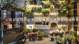 云南省昆明附近重点发展花卉种植业的地理条件是什么