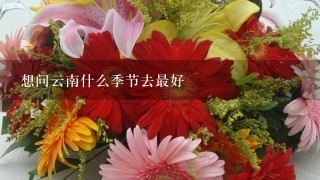 想问云南什么季节去最好