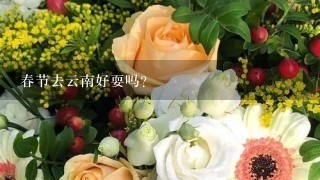 春节去云南好耍吗？