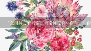 “全国鲜花看云南，云南鲜花看斗南”，斗南花市距昆明市区约18公里，是亚洲最大的鲜花交易市场，也是中国最大的花卉交易市场...