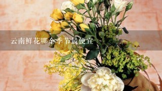 云南鲜花哪个季节最便宜