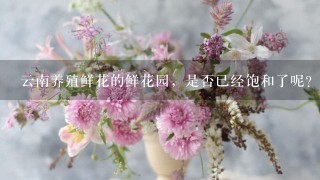 云南养殖鲜花的鲜花园，是否已经饱和了呢？