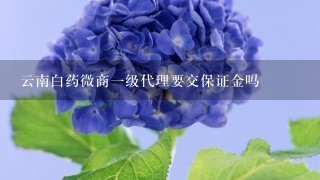 云南白药微商1级代理要交保证金吗