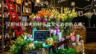 昆明城区最大的鲜花批发0售市场在哪?