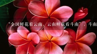 “全国鲜花看云南，云南鲜花看斗南”，斗南花市距昆明市区约18公里，是亚洲最大的鲜花交易市场，也是中国最大的花卉交易市场...