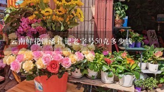 云南鲜花饼潘祥记老字号50克多少钱