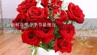 云南鲜花哪个季节最便宜