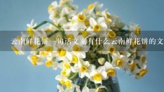 云南鲜花饼1句话文案有什么云南鲜花饼的文案