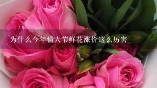 为什么今年情人节鲜花涨价这么厉害