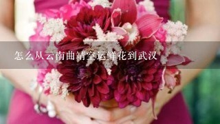 怎么从云南曲靖空运鲜花到武汉