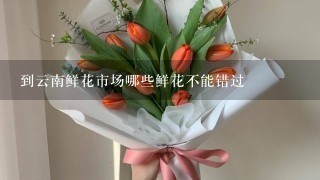 到云南鲜花市场哪些鲜花不能错过