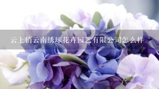 云上俏云南绣球花卉园艺有限公司怎么样