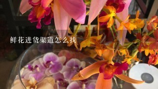 鲜花进货渠道怎么找