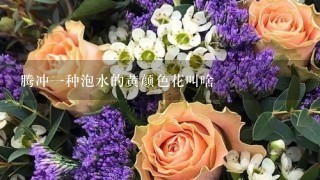 腾冲1种泡水的黄颜色花叫啥