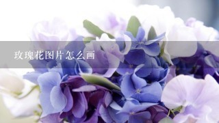 玫瑰花图片怎么画