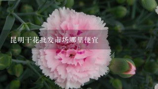 昆明干花批发市场哪里便宜