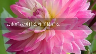 云南鲜花饼什么牌子最好吃