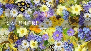 怎么订异地鲜花！