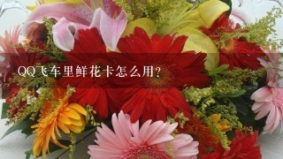 QQ飞车里鲜花卡怎么用？