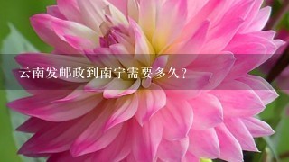 云南发邮政到南宁需要多久？