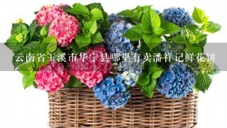 云南省玉溪市华宁县哪里有卖潘祥记鲜花饼