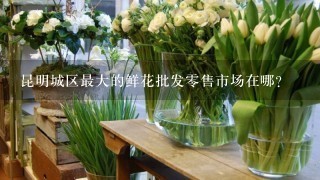 昆明城区最大的鲜花批发0售市场在哪?