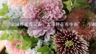 “全国鲜花看云南，云南鲜花看斗南”，斗南花市距昆明市区约18公里，是亚洲最大的鲜花交易市场，也是中国最大的花卉交易市场...