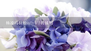 杨凌马拉松cctvⅤ5转播吗