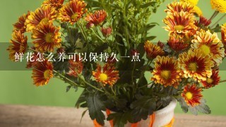 鲜花怎么养可以保持久1点