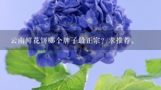 云南鲜花饼哪个牌子最正宗？求推荐。