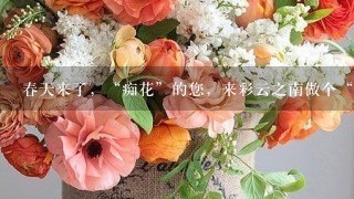 春天来了，“痴花”的您，来彩云之南做个“花吃”吧