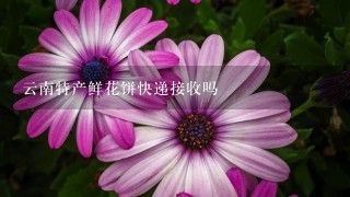 云南特产鲜花饼快递接收吗