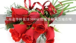 云南嘉华鲜花饼3000亩玫瑰花种植基地在哪，我在网上查了查大概在曲靖市马龙县，求具体位置，要离昆明