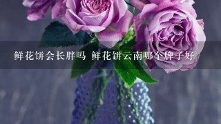 鲜花饼会长胖吗 鲜花饼云南哪个牌子好