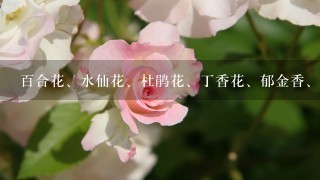 百合花、水仙花、杜鹃花、丁香花、郁金香、桃花个长