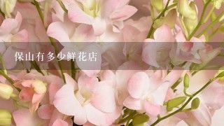 保山有多少鲜花店