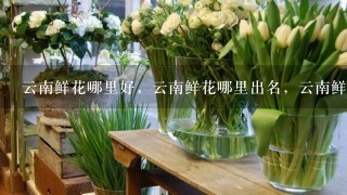 云南鲜花哪里好，云南鲜花哪里出名，云南鲜花哪里可以买得到。