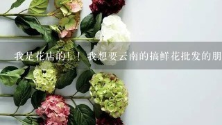 我是花店的！！我想要云南的搞鲜花批发的朋友发货！！