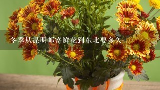 冬季从昆明邮寄鲜花到东北要多久