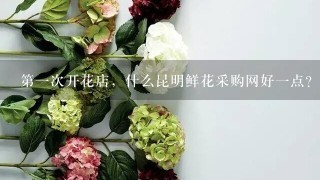 第1次开花店，什么昆明鲜花采购网好1点？求推荐