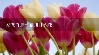 勐嘞寺庙祈福用什么花