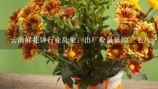 云南鲜花饼行业乱象：出厂价最低的3毛81个！影响