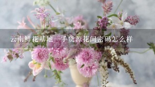 云南鲜花基地1手货源花间密码怎么样