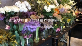 云南嘉华鲜花饼市场推广策略研究